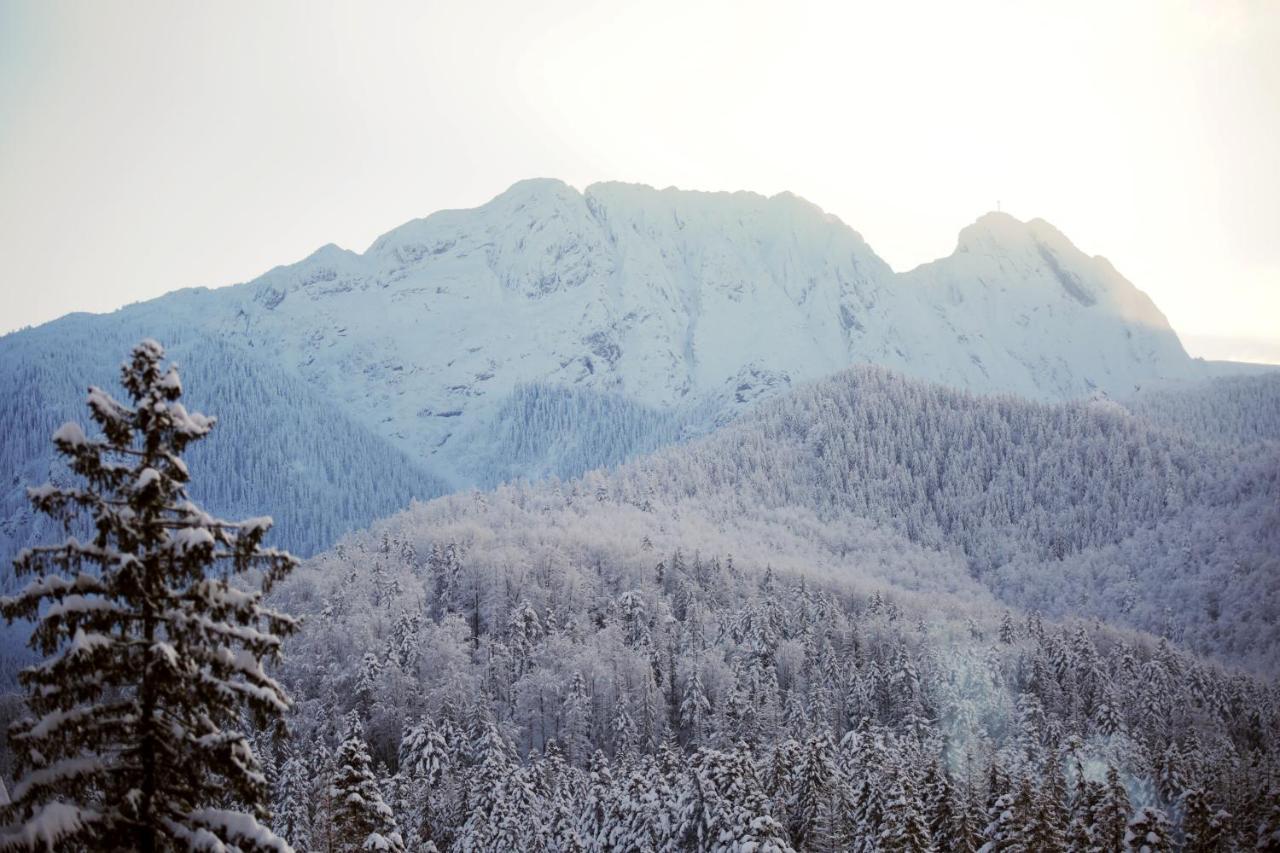 Green Deer Premium Zakopane Exterior photo