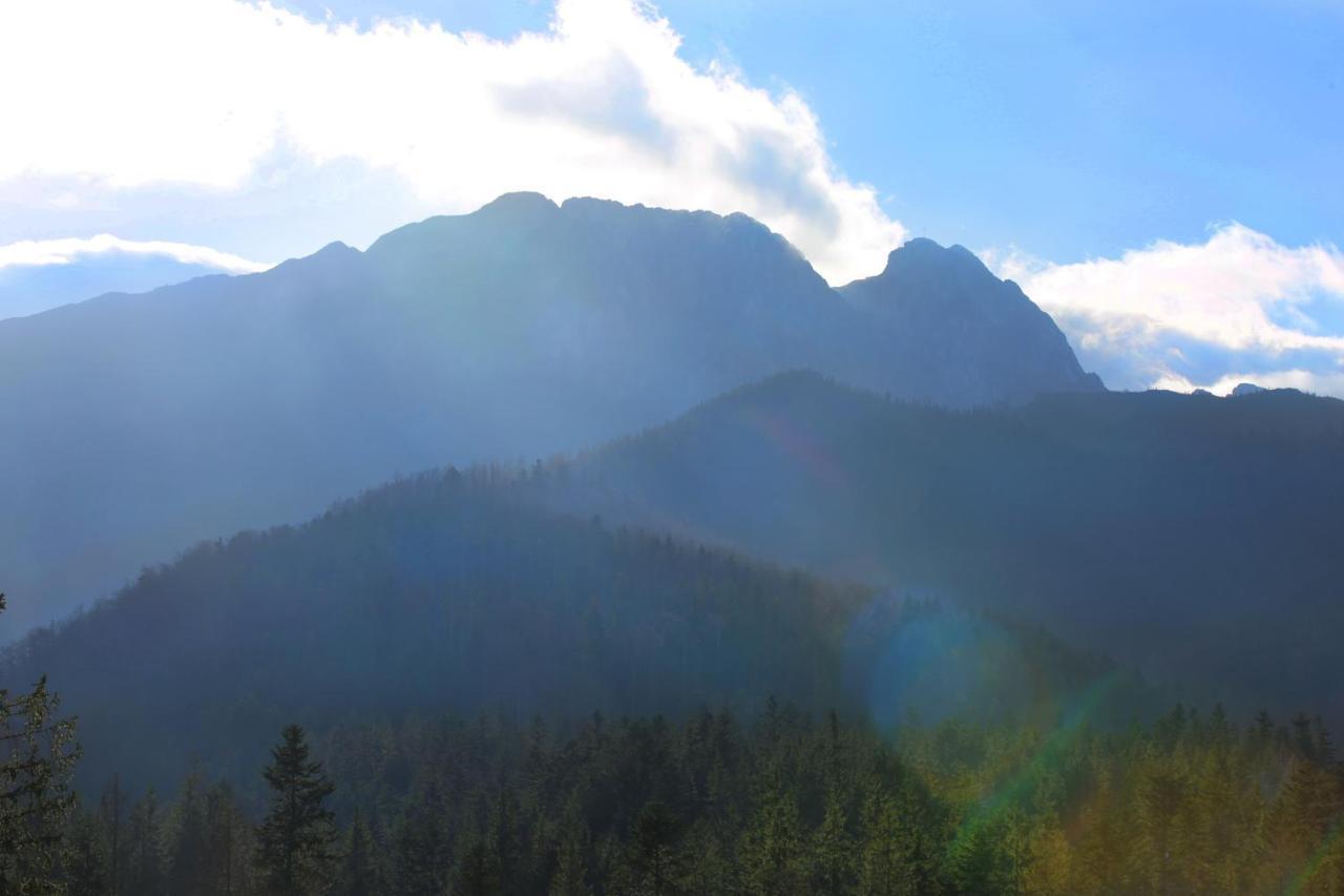 Green Deer Premium Zakopane Exterior photo